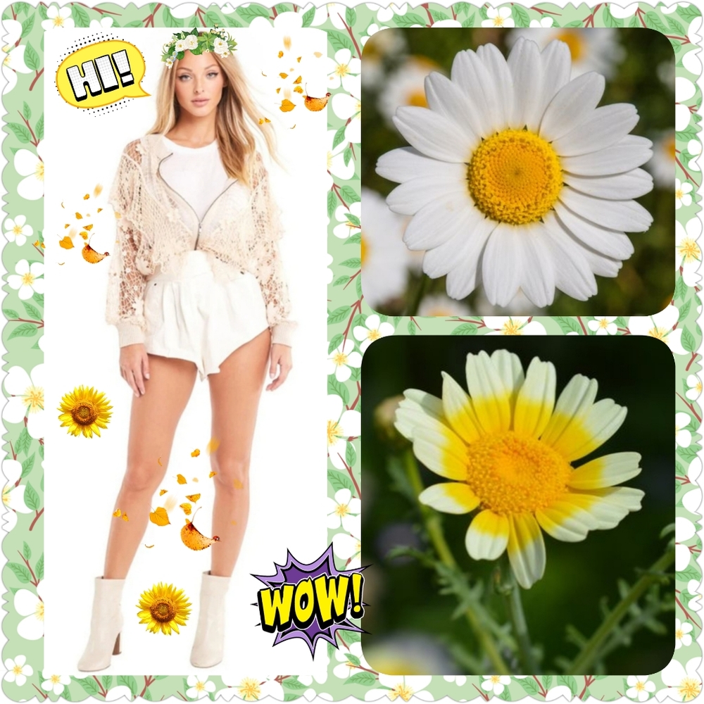 Wildfox Daisies Blake Crochet Zip Up Sweater